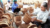 هانوی قصد دارد تقریباً 20،000 کارگر را برای شرکت در آموزش‌های حرفه‌ای جذب کند.