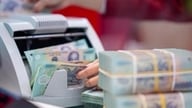 州の歳入は、今年上半期に17.4％増加した。