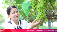 Khám phá vườn nho mẫu đơn ở xã miền núi Hà Tĩnh