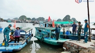 Quang Ninh met en œuvre des mesures globales en réponse au typhon n° 1.