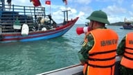 Vastauksena taifuuni Mayakiin (taifuuni nro 1): Quang Ninh ja Hung Yen kieltävät merimatkailun; Ninh Binh antaa kiireellisen määräyksen.