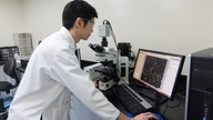 Wenn vietnamesische Intellektuelle weltweit ihre Kräfte bündeln, um zur nationalen Wissenschaft beizutragen