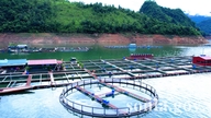 Technologieeinsatz zur Wertsteigerung von Wasserprodukten im Quynh-Nhai-See.