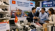Le Paraguay – une porte d’entrée pour les produits vietnamiens sur le marché du Mercosur.