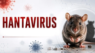 L’épidémie de hantavirus (souche Andes - ANDV) a été maîtrisée et ne représente plus un risque pour la santé publique.