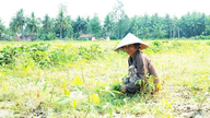 Preventing land degradation