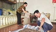 Die Bewahrung des „Schatzes“ der traditionellen vietnamesischen Medizin am Fuße des Tan-Berges.