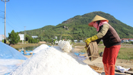 Gia Lai: Over 7580 tonn salt er fortsatt usolgt blant innbyggerne.