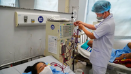 Development orientation for the hemodialysis specialty in Can Tho.