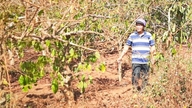 Cas de la mise en équivalence de la Gia Lai Coffee Company : 130 ménages n’ont pas encore signé de contrat.