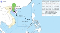 Aktuelle Sturmmeldungen: Taifun Mayak (Taifun Nr. 1) trifft in der Provinz Quang Ninh auf Land, heftige Regenfälle ergießen sich über die nordöstliche Region.