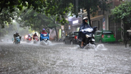 Dagens väder (5 juli): Kraftigt regn i norra Vietnam.