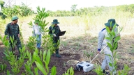 Sebuah kubur besar rahsia askar mungkin terletak di bunker berbentuk A di mana lapan orang syahid ditemui sebelum ini.