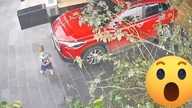 Video tình huống thót tim cảnh báo các gia đình có con nhỏ nổi bật tuần qua
