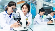 De Technische Universiteit van Ho Chi Minh-stad maakt de minimumeisen voor toelating bekend; wat is de hoogste score voor een bepaalde studierichting?