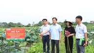 O Departamento de Agricultura e Meio Ambiente de Hanói impede a entrada de produtos fora dos padrões no mercado.