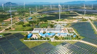 Entiti manakah yang dibenarkan membeli dan menjual elektrik secara langsung, tanpa melalui EVN?