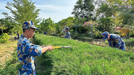 Tuổi trẻ Trung tâm Huấn luyện Vùng 4 Hải quân tổ chức “Ngày Chủ nhật xanh”
