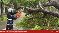 Quang Ninh: Omkring 1.000 træer blev revet op med rode, og 600 hektar akvakulturbrug blev beskadiget efter tyfon nr. 1.