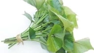 Un médecin révèle les bienfaits surprenants des feuilles de patate douce sautées au bœuf.