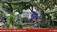 Quang Ninh utrpěl v důsledku tajfunu č. 1 škody ve výši přibližně 20 miliard dongů.