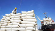 As exportações de arroz nos primeiros seis meses atingiram aproximadamente 5,2 milhões de toneladas.