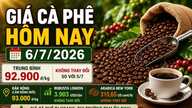 Harga kopi hari ini, 6 Juli: Harga di Dataran Tinggi Tengah tetap stabil, menunggu perubahan minggu depan.