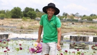 Bărbatul care a creat floarea numită „ploaia roșie” a transformat solul nisipos într-o sursă de miliarde de dong.
