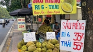 Giá sầu riêng giảm mạnh, vì sao?