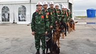 อะไรคือสิ่งที่พิเศษเกี่ยวกับสุนัขช่วยเหลือทั้ง 8 ตัวที่เวเนซุเอลาให้เหรียญรางวัล?