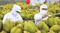 Menținerea ritmului de creștere a exporturilor agricole.