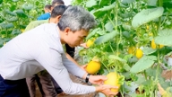 Petani Dong Nai dalam era digital: Mencipta saluran YouTube, berhenti daripada jawatan pengarah mereka untuk menternak arnab, membina rumah hijau untuk menanam tembikai dan menjadi kaya (Bahagian 1)