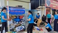 Phu Xuyen beldesi 17 atık "yoğun noktasını" ortadan kaldırdı.