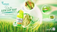 The rice leaves are thick and upright - an advantage that helps the plant grow naturally strong.