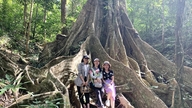 ຄົ້ນພົບຕົ້ນໄມ້ມໍລະດົກຢູ່ອຸທະຍານແຫ່ງຊາດກອນກາກິງ.