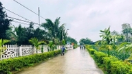 Un drum rural nou plantat într-o comună nouă din provincia Thanh Hoa este la fel de frumos ca o scenă de film, cu flori și copaci.