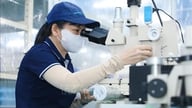 Resolução 57-NQ/TW: Mais espaço para a cooperação entre o Vietname e o Japão no setor de semicondutores.