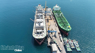 Tăng cường bảo vệ môi trường, thúc đẩy phát triển hoạt động logistics xanh