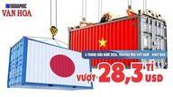 Vietnã - Japão: O volume de comércio ultrapassa US$ 28,3 bilhões no primeiro semestre de 2026.