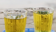 Le thé vert – une boisson anti-âge qui favorise la longévité.