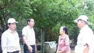 Đà Nẵng: Cụ thể hóa Nghị quyết TW 3 bằng chương trình hành động sát thực tiễn