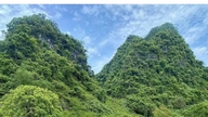 Hoang Dinh Kinh - en robust Tay-leder