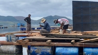 Lobster capital recovers after storms and floods.