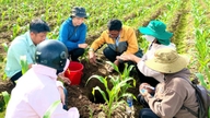 জলবায়ু পরিবর্তন মোকাবেলার জন্য সুস্থ মাটি ও সুস্থ গাছপালা অপরিহার্য।