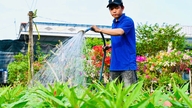 Luong Van Phuc: En ung leder med et ønske om at blive rig på blomster.