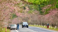 2026年の正月休暇期間中、マンデンは予約でいっぱいですが、観光客にはまだ選択肢があります。