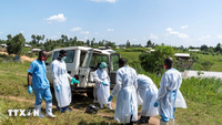 Épidémie d'Ebola : l'Afrique de l'Ouest intensifie ses mesures de préparation et de prévention.