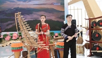 Att göra Vietnamesisk kulturdag till ett verkligt firande av stolthet.