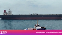 Havdyr udgør en udfordring for skibe i Hormuz.