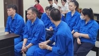 Oleh kerana memerlukan wang, dia menjual buah pinggangnya dengan harga 560 juta VND, tetapi broker itu menaikkan harganya kepada lebih 1.1 bilion VND.